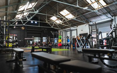 Is Owning a Gym or Fitness Franchise Profitable? – A Deep Dive